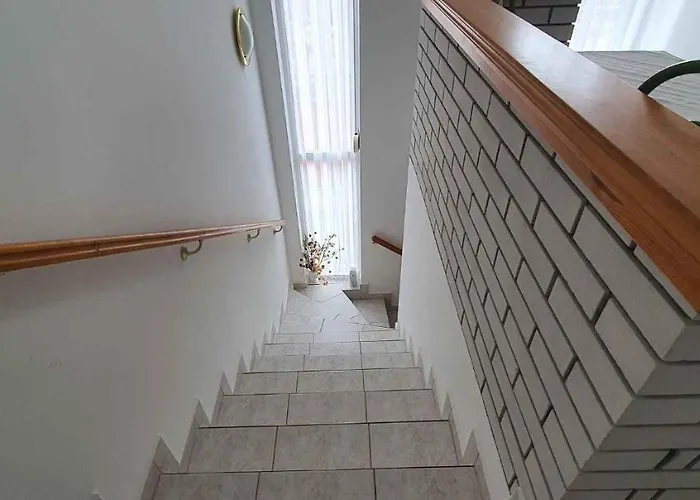 In - Balaton 43408 * 希欧福克